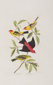 Illustration de 