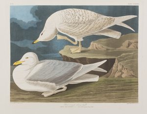 Illustration de 