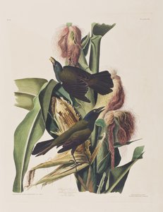 Illustration de 