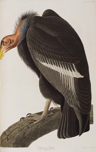 Illustration de 