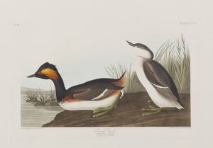 Illustration de 