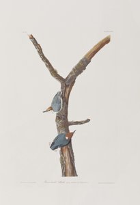 Illustration de 