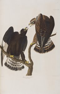 Illustration de 