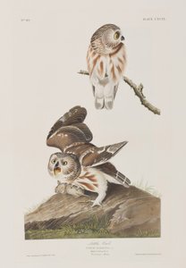 Illustration de 