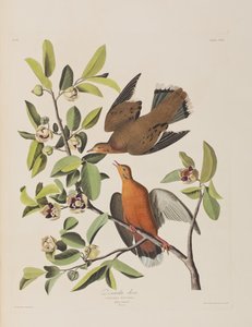 Illustration de 