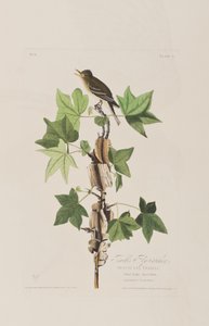 Illustration de 