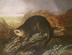 Loutre Prise dans un Piège - John James Audubon