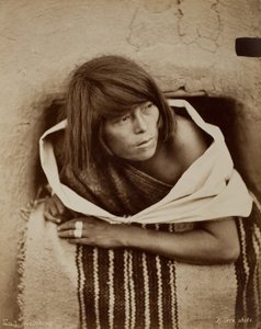 Zuni, observant