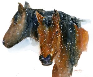 Chevaux en hiver