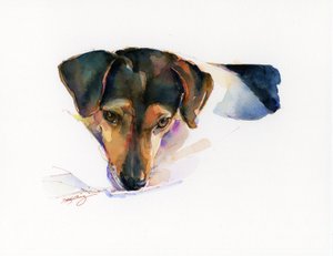 Portrait de Scout