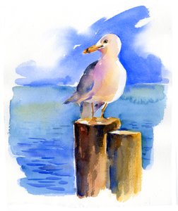 Mouette sur le quai