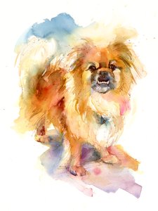 Portrait de Tipper