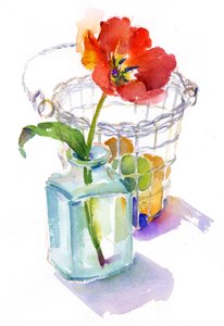 Tulipe avec panier d