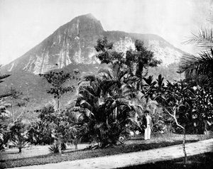 Jardins botaniques et mont Corcovado, Rio de Janeiro, Brésil