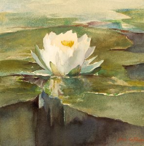 Nénuphar au soleil, ca. 1883