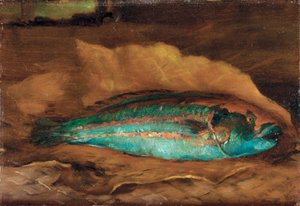 Étude du poisson-perroquet, Samoa - John La Farge or Lafarge