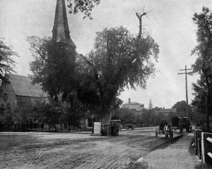 Orme de Washington à Cambridge, Massachusetts, USA, vers 1900