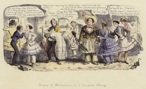 Progrès du Bloomerisme, ou un changement complet