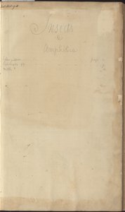 Dessins de Lindsay Vol. VI, frontispice - John Lindsay