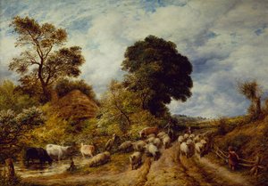 Un chemin de campagne