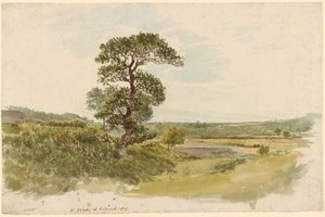 Un paysage dans le Snowdonia avec un arbre au premier plan - John Linnell