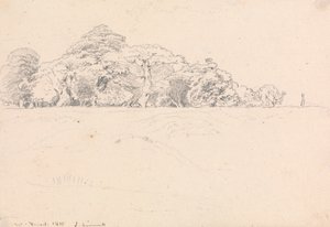 Forêt de Windsor