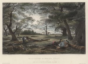 Abattage de bois dans la forêt de Windsor (gravure en couleur) - John Linnell