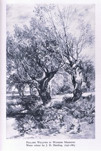 Bûcherons à la périphérie de Windsor Forest, Nature in Britain publié par Collins - John Linnell