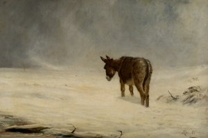 Un âne dans la neige