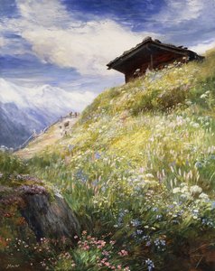Un pré alpin, Suisse