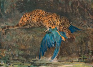Jaguar et Ara, fin du XIXe siècle