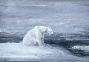 Ours polaires guettant les phoques à un trou de glace, vers 1867-1910