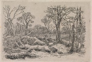 Bois abattu, Burningham