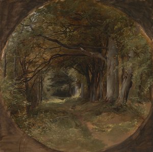 Paysage