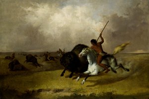 Chasse au bison dans les prairies du sud-ouest