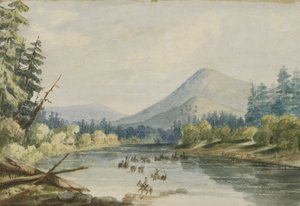 Traversée de la Bitter Root