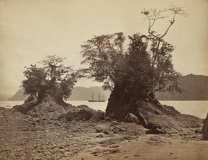 Îles dans la baie de Limón, 1871 - John Moran