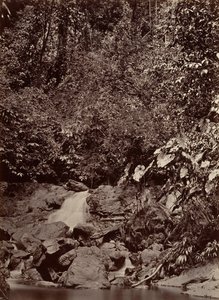 Paysage tropical, Cascade, Rivière Limon, 1871 - John Moran