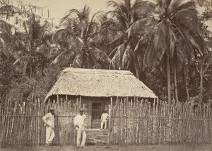 Paysage tropical, hutte indigène, Turbo - John Moran