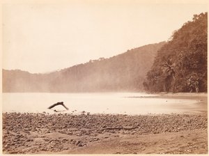 Paysage tropical : Le terminus du projet de canal, la baie de Limon (Expédition Darien) - John Moran