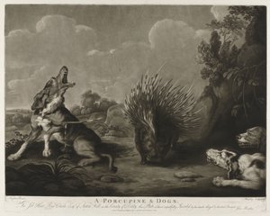 Porc-épic et trois chiens - John Murphy