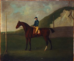 "Creeper", un poulain bai avec jockey au départ à Running Gap dans Devils Ditch, Newmarket