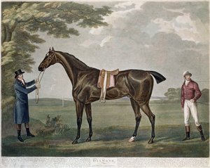 Le cheval de course Diamond, vers 1799