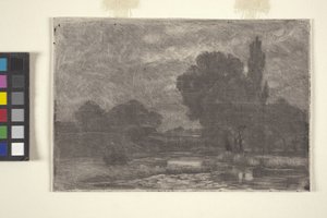 Paysage marécageux