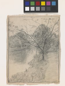 Arbre à côté d