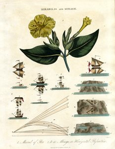 Mirabilis et Mirage