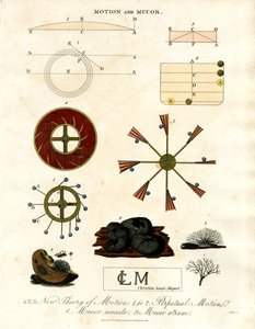 Théorie du mouvement et champignons Mucor