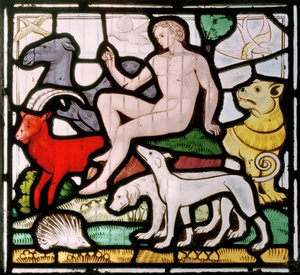 Daylesford, St Peter, Clayton & Bell, John Richard Clayton, Adam parmi les animaux, fenêtre de la Création - John Richard Clayton