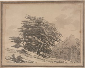 Délinéations du caractère général, ramifications et feuillage des arbres forestiers : Cèdre, 1789 - John Robert Cozens