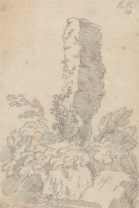 Roche perpendiculaire et arbres